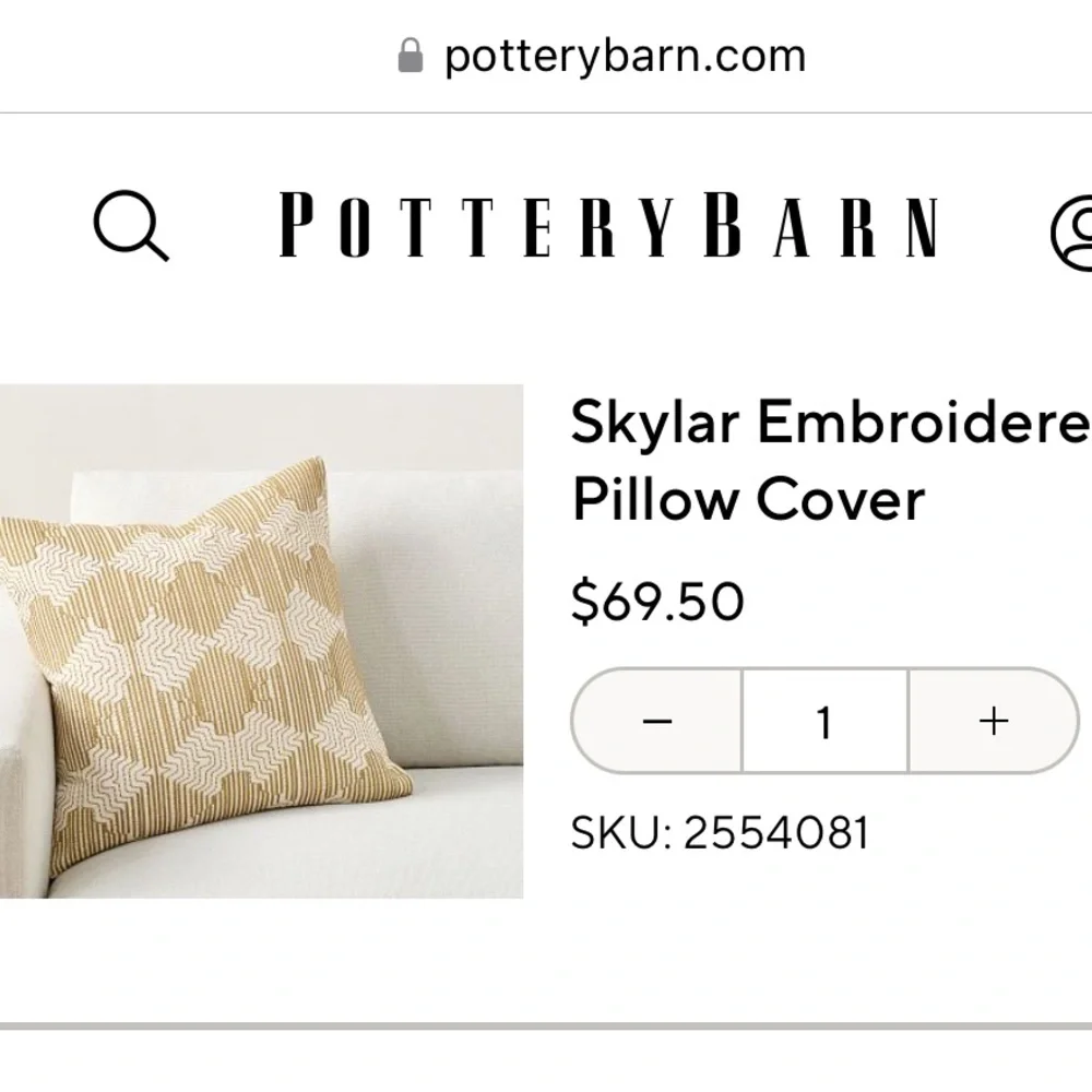 Pottery Barn Skylar Embroidered Pillow Cover 20x20